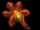 40px-Orchid_Malevolence.png