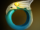 40px-Ring_of_Aquila.png